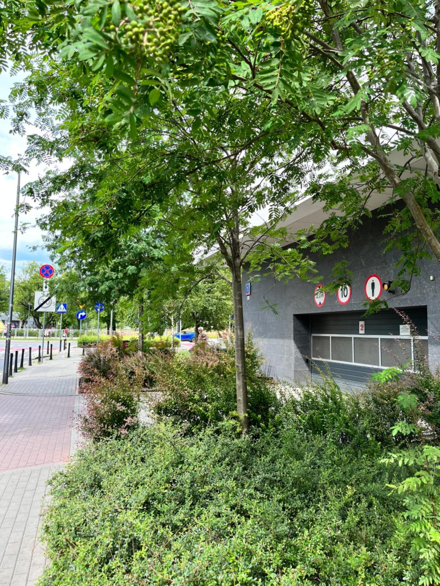 Butas Metro Slodowiec Free Parking *
